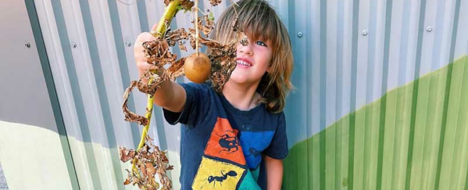 Gardening with preschoolers: From garden to table