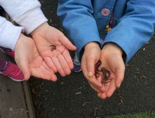Protected: How to make a worm farm for children
